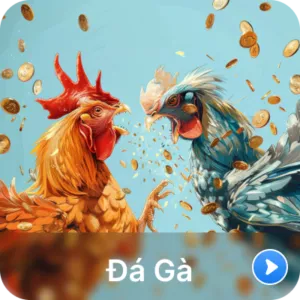 đá gà