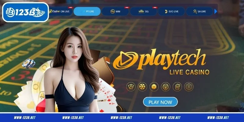 Các sảnh cược chính có mức hoàn trả rất hấp dẫn