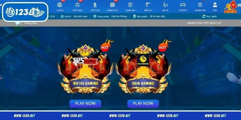 Đá gà cựa dao 123B là gì?